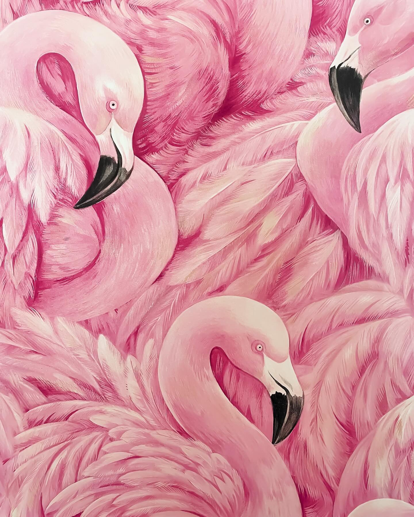 🦩💖Iykyk. If you don&rsquo;t, flock to the studio to find out!💖🦩

#wereobsessed #iykyk #legdayeveryday #flamingoparty #yogaheals #flamingosheal #hotyoganashville #flocktogether