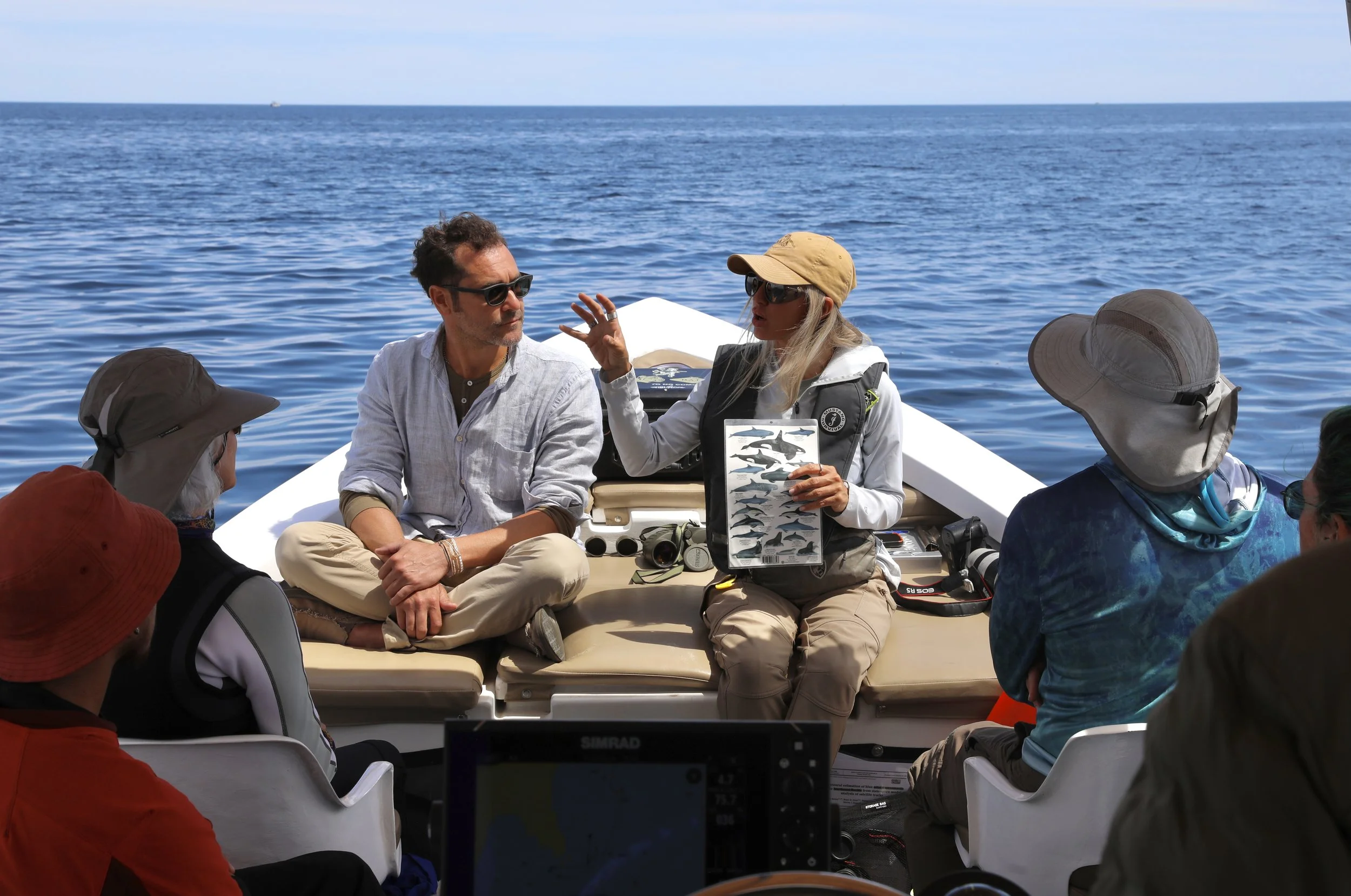 whale-watching-Loreto