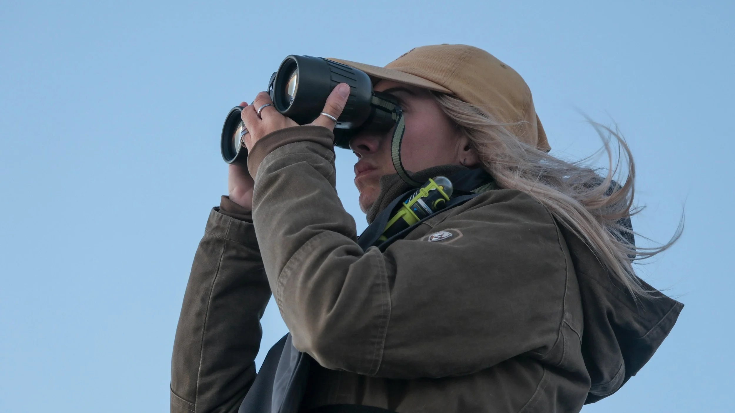 Whale watching Regenerative Tourism Loreto.JPG