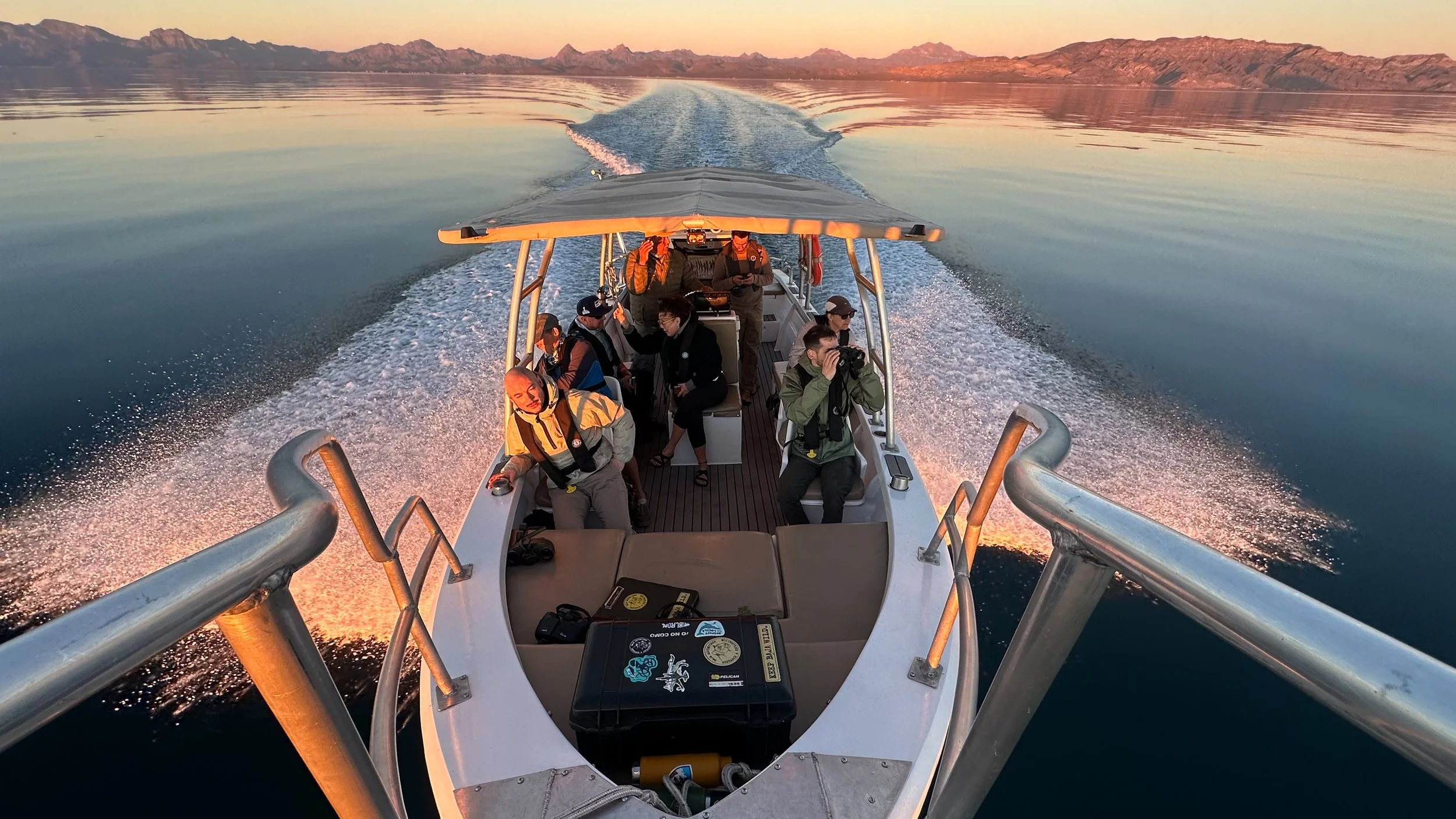 Professional expedition gear