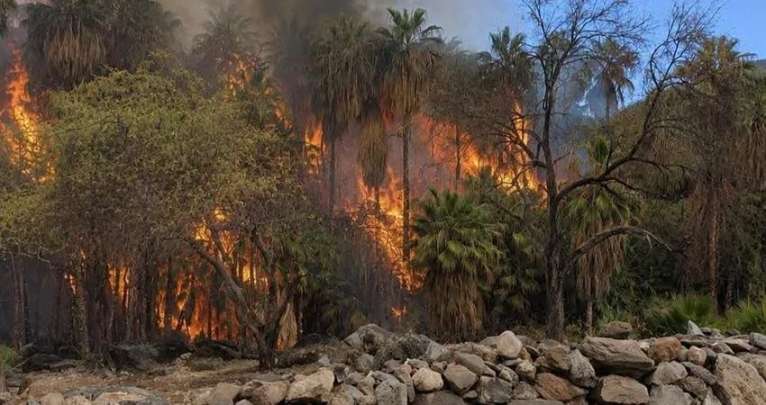 Standing together: The San José de Comondú wildfire