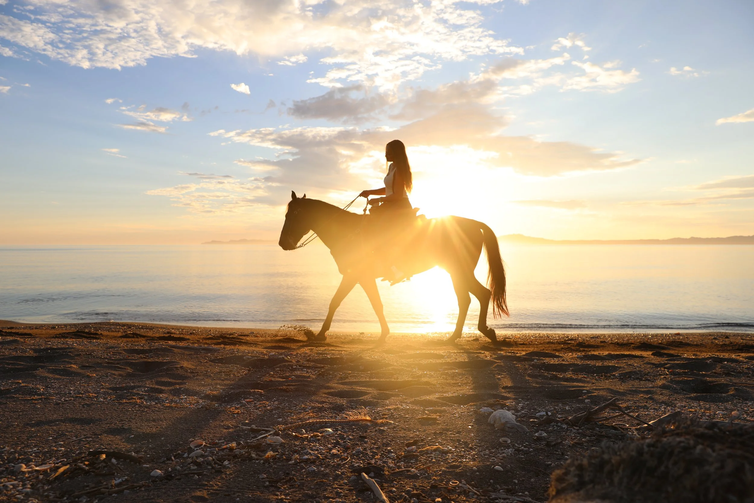 Silhouette of a woman in riding a horse tour at sunset in Loreto.