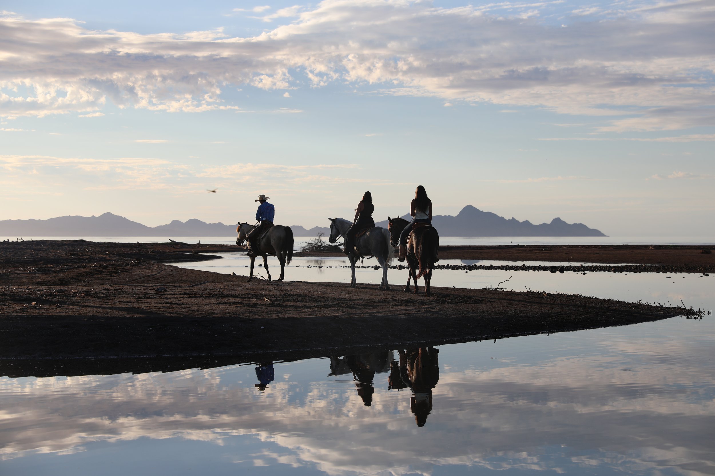 Loreto coastal horse riding