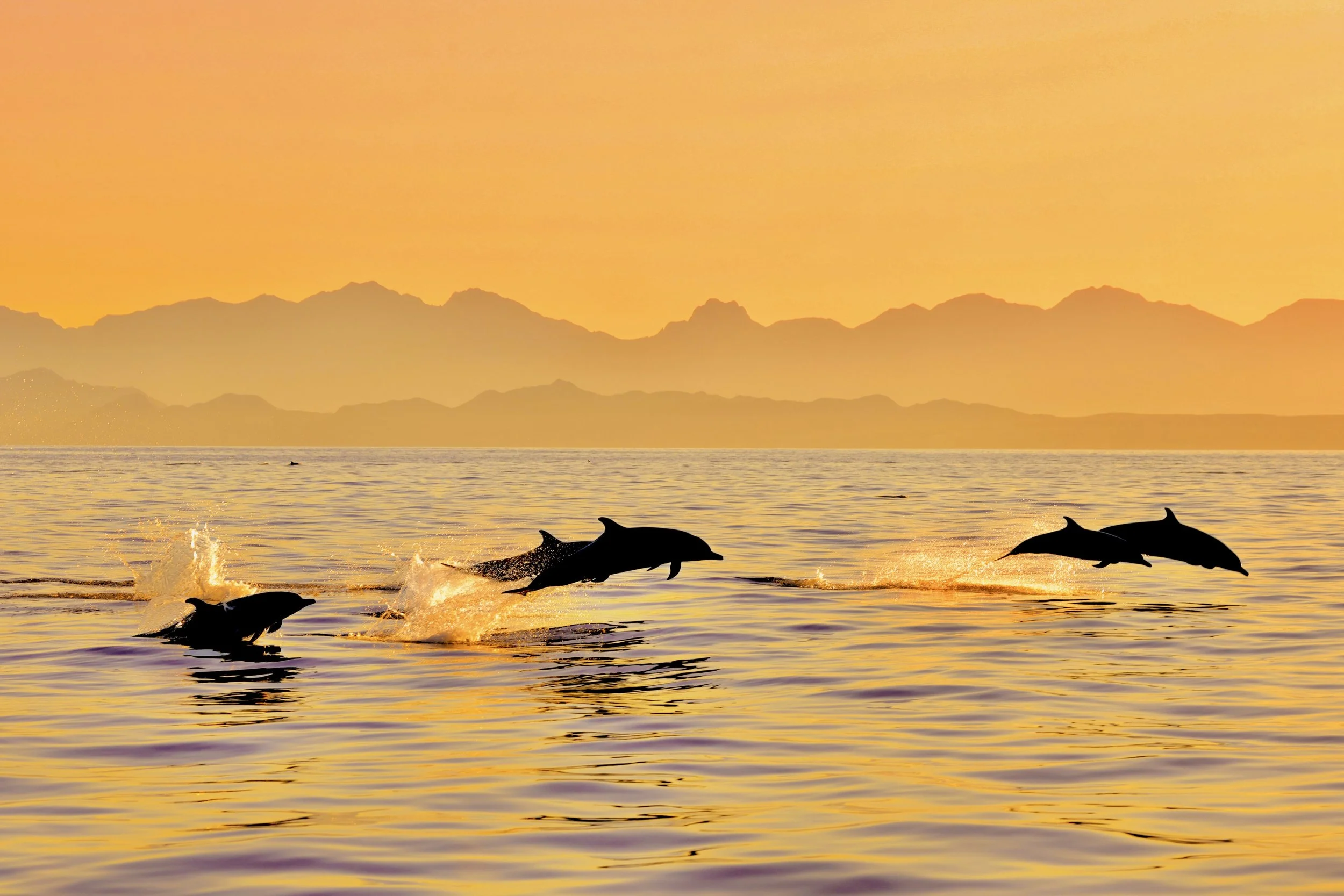 LORETO SUNSET ADVENTURE