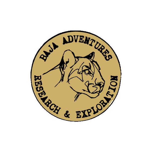 Baja-Adventures-Loreto-Regenerative-Tourism.PNG