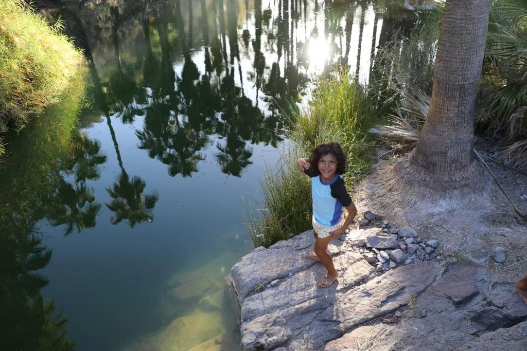 A family adventure with Baja Adventures in Sierra de la Giganta, featuring a child exploring a serene desert oasis