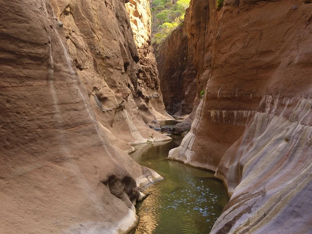 A narrow slot canyon with red and tan rock walls and a small stream flowing through the bottom.