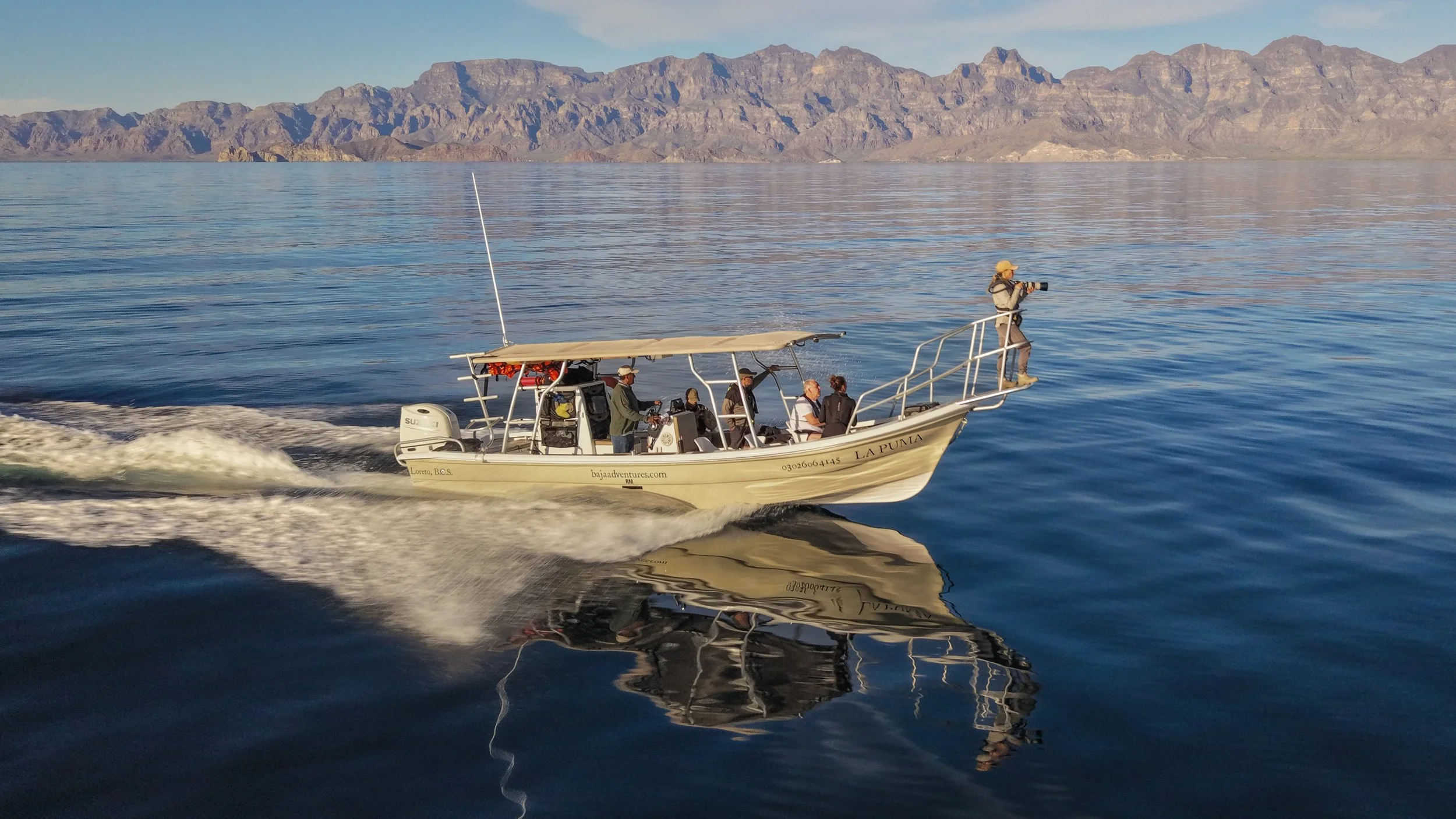 Whale watching expeditions in Loreto with Baja Adventures