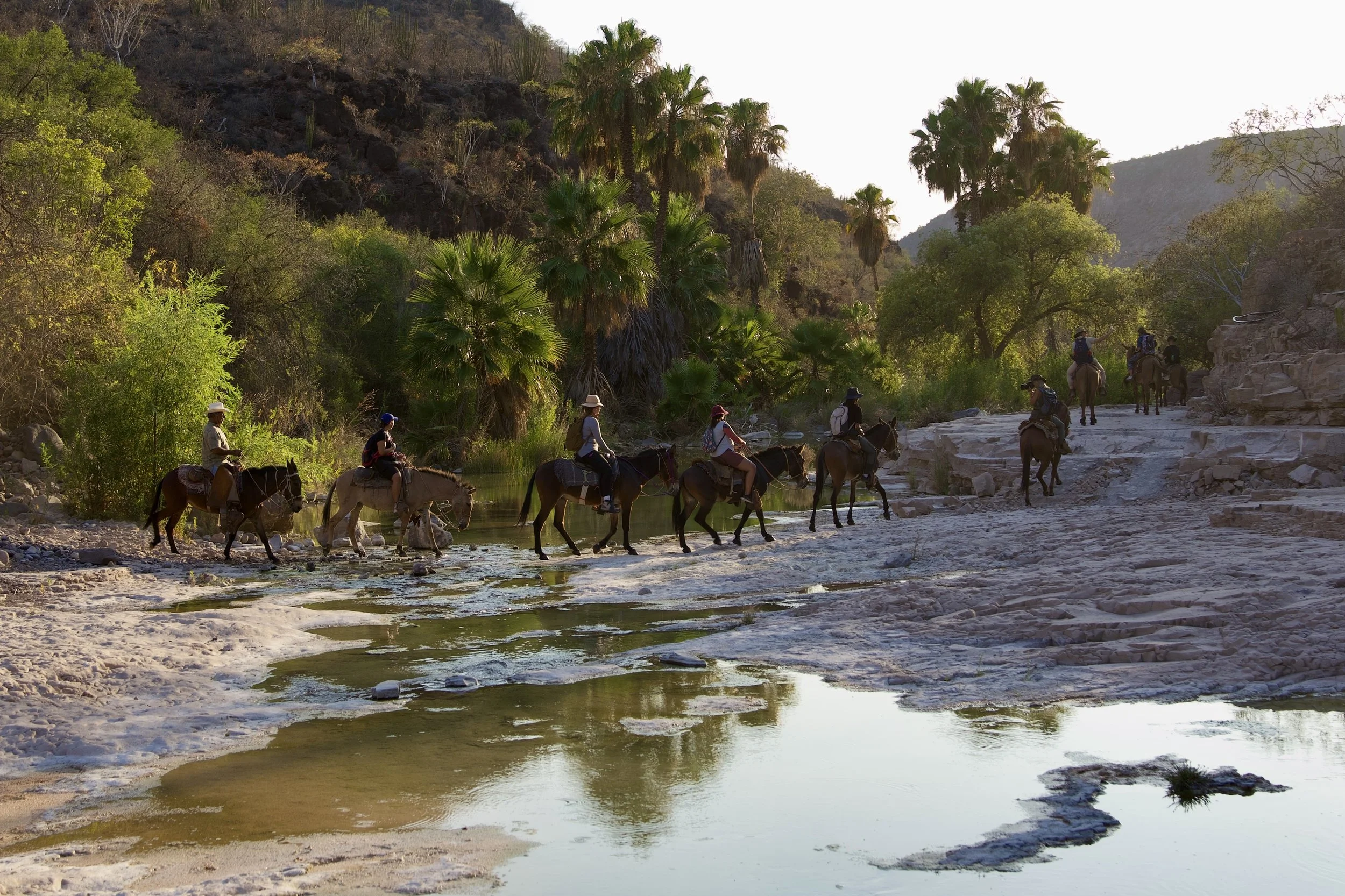 MULE RIDE LORETO SIERRA DE LA GIGANTA