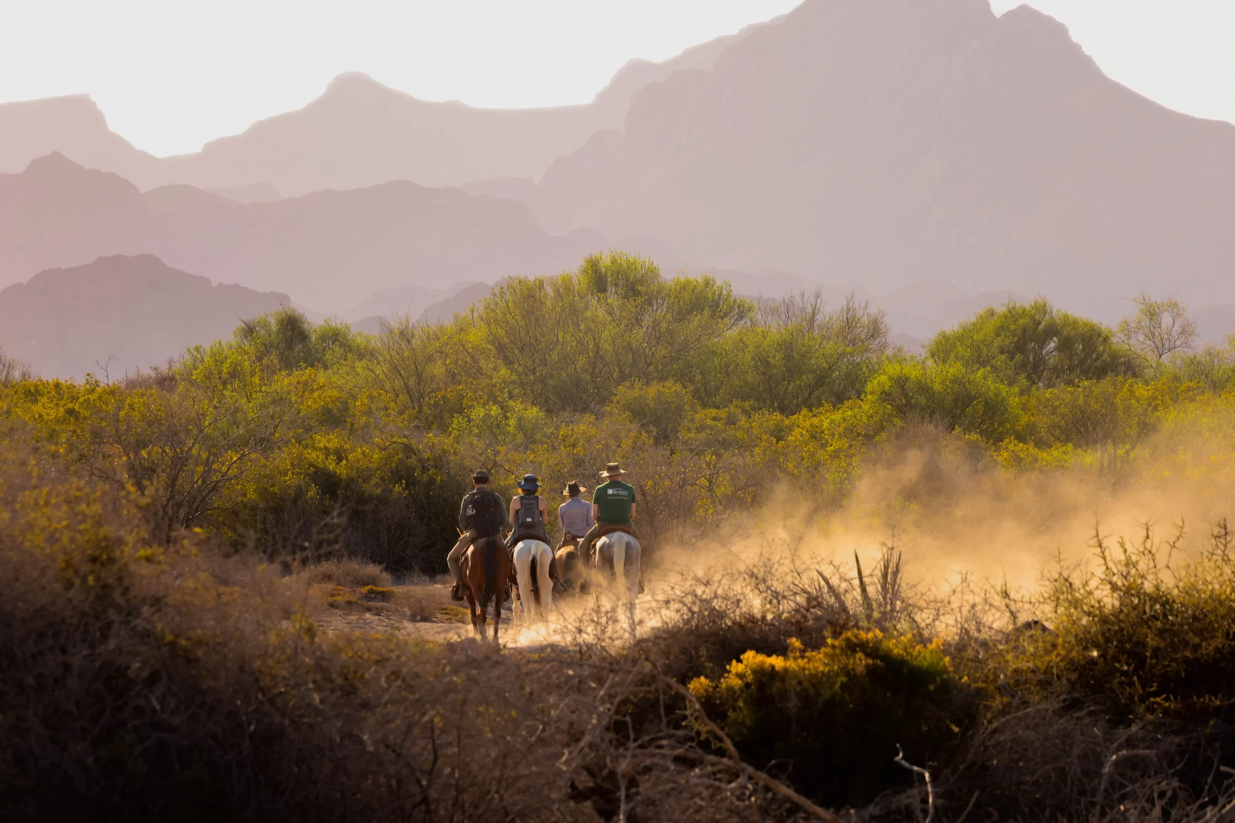 Horse riding through a dusty desert trail in Loreto, Baja California Sur, Mexico
