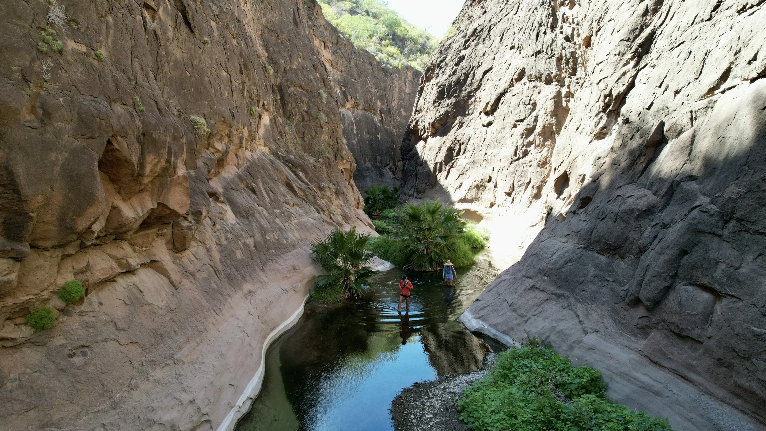 Excursión guiada de senderismo por el Cañón del Mezquite, en la Sierra de la Giganta, Loreto, Baja California del Sur, México.