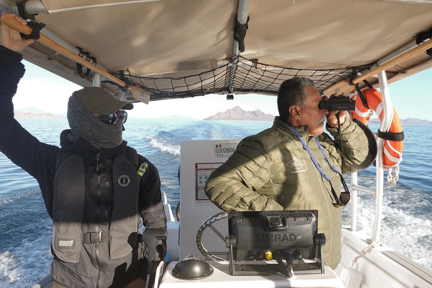 whale-watching-Loreto