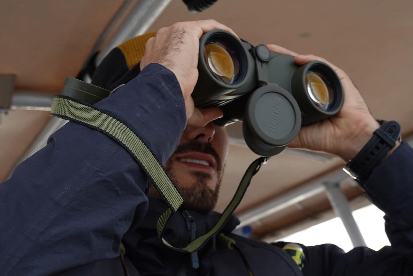 Baja Adventures guide searching blue whales in Loreto