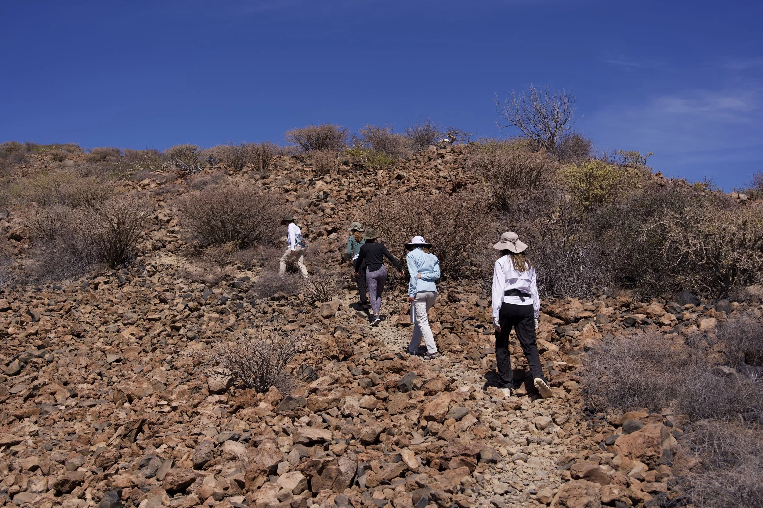 Ruta de senderismo volcánica en la isla de Coronados, rodeada de escarpados paisajes desérticos en el Parque Nacional de la Bahía de Loreto, Baja California Sur, México.