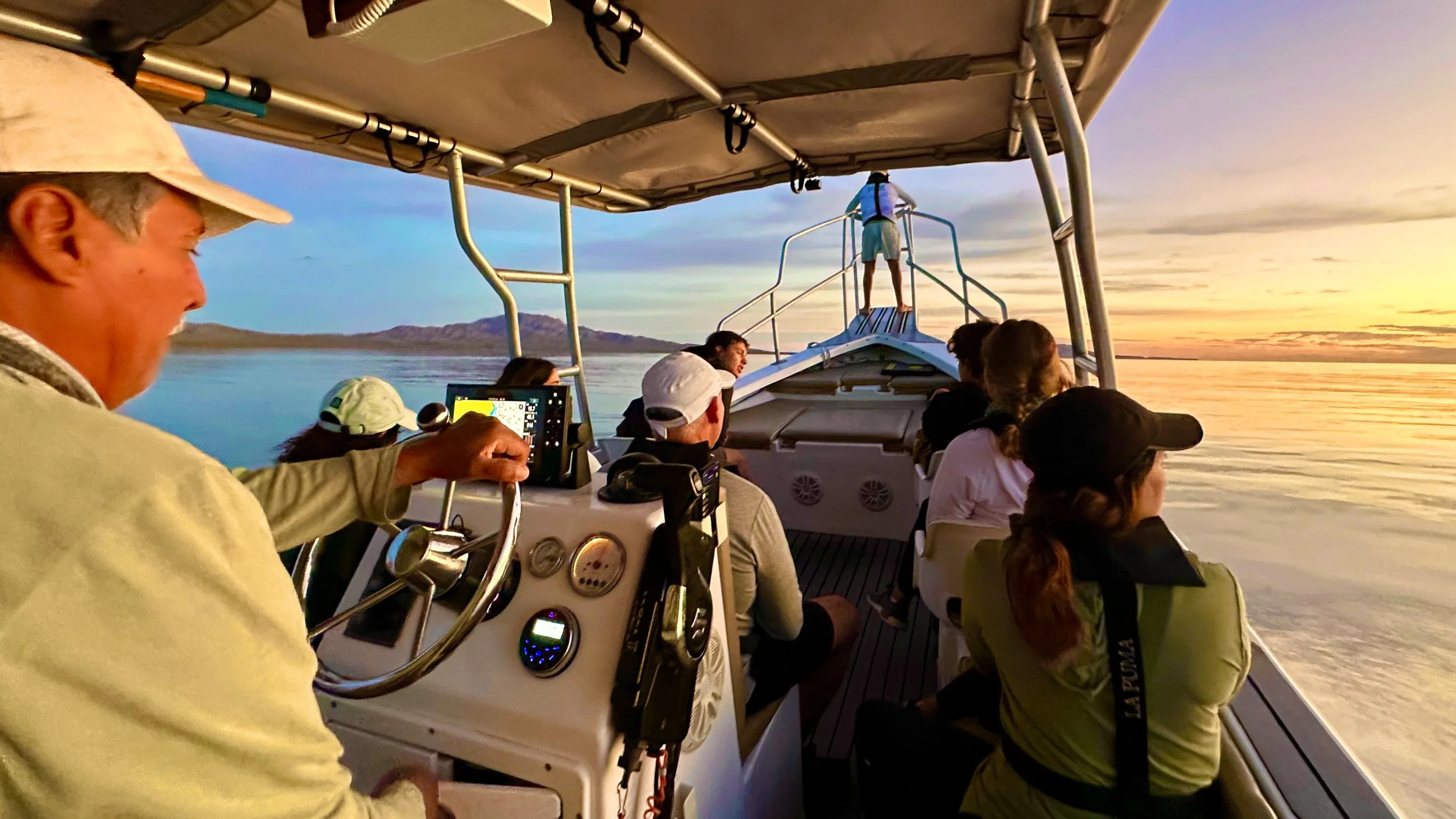 Marine Safari Loreto.JPEG