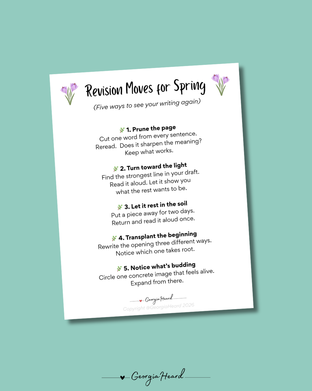 revision moves for spring.png