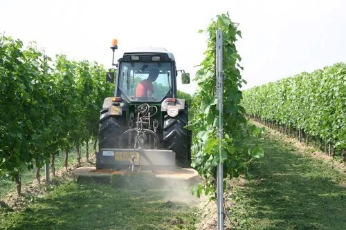 Grass+Trenchers+vineyard+De+Pra.jpeg