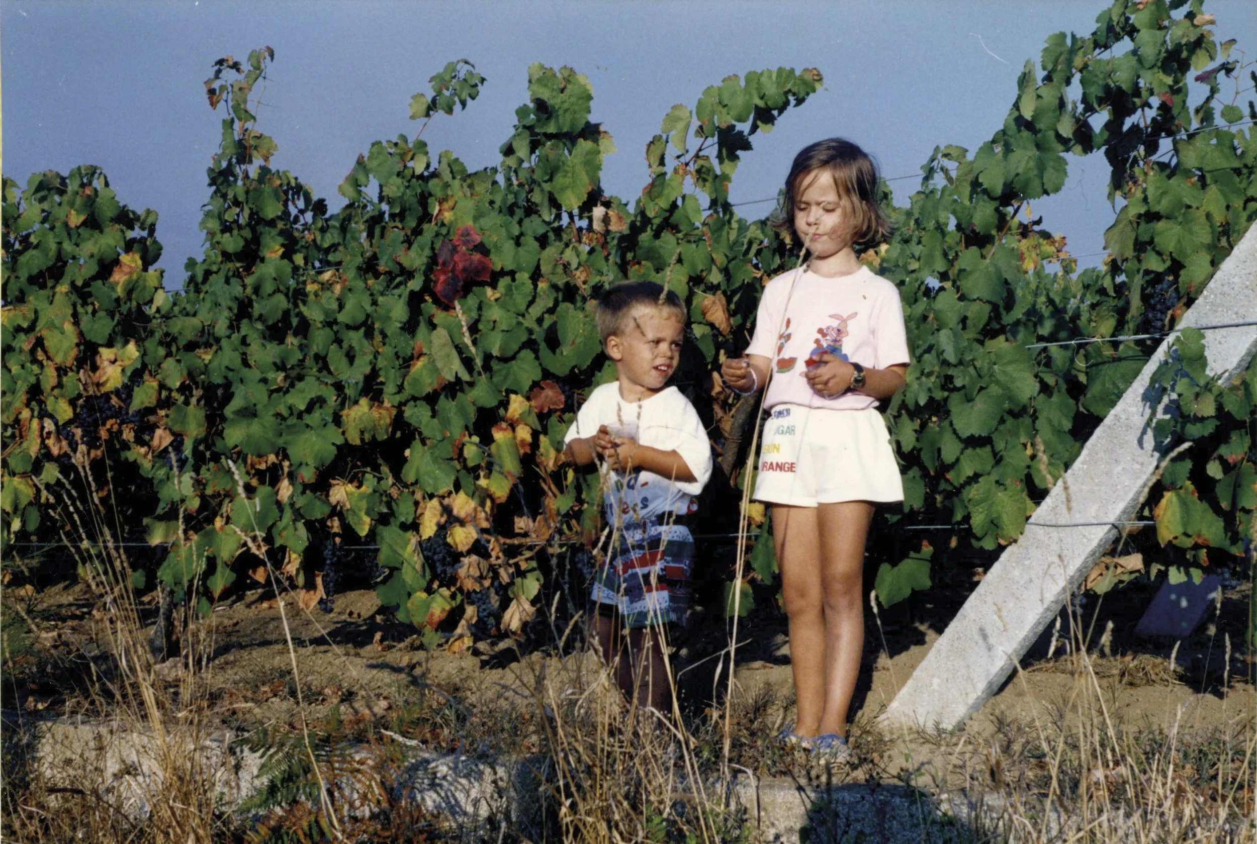 Pablo in the vineyard as a child.jpg