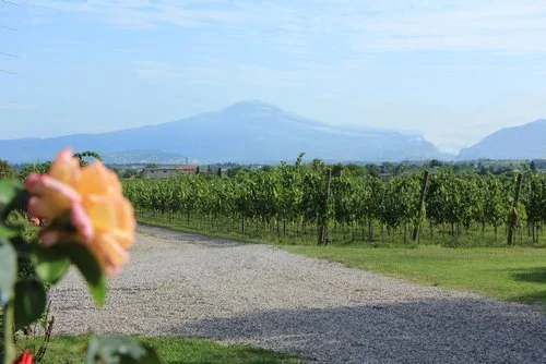 land+view.jpg
