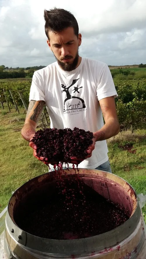 Vina+Progreso+photo+1+.jpg