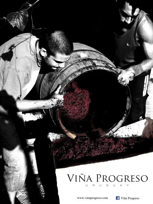_Vina+Progreso+Photo+2.jpg