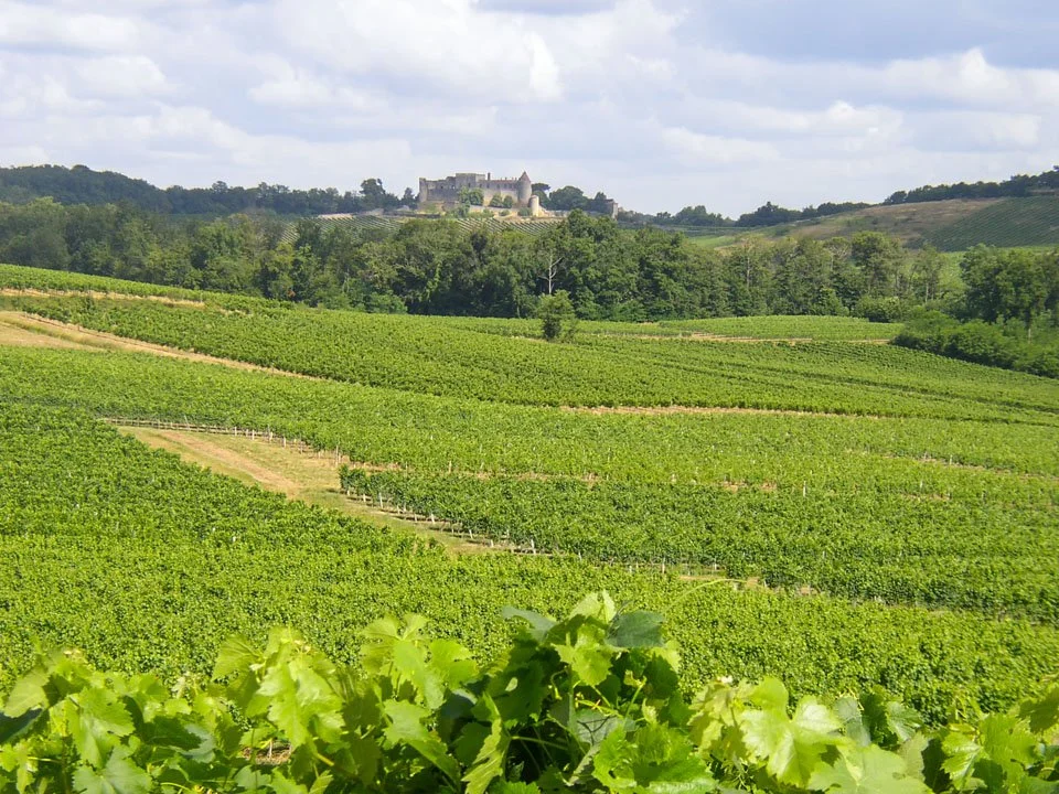 Pin Franc Chateau.jpg