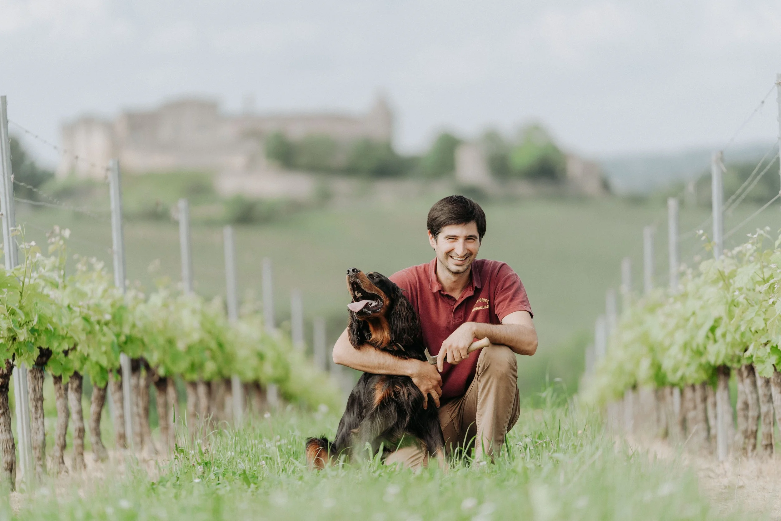 Jean-Yves Vineyards.jpg