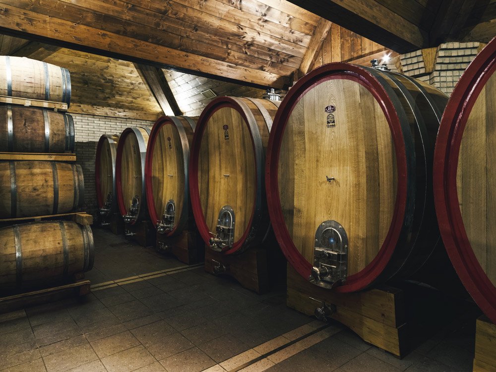 DiCarlo-vini-02.jpg