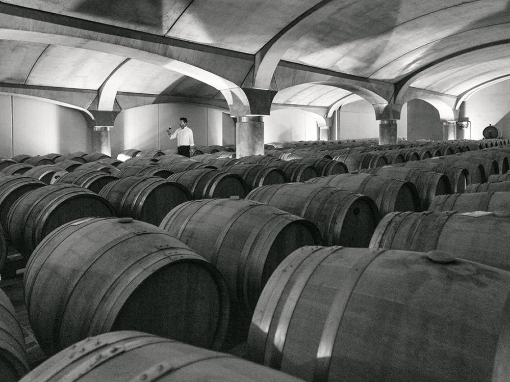 DiCarlo-vini-20.jpg