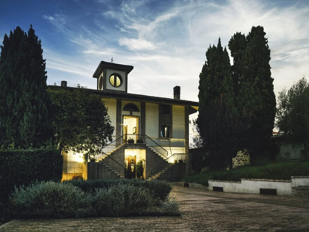 DiCarlo-vini-05.jpg