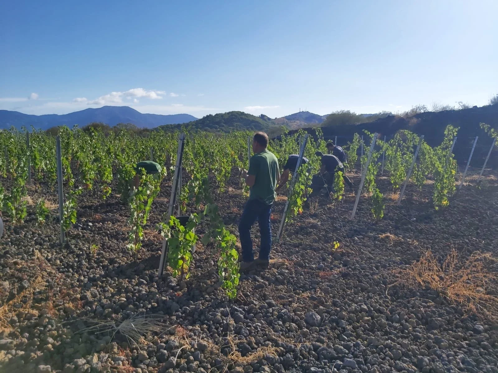 WhatsApp Image 2021-10-08 at 09.35.04.jpeg