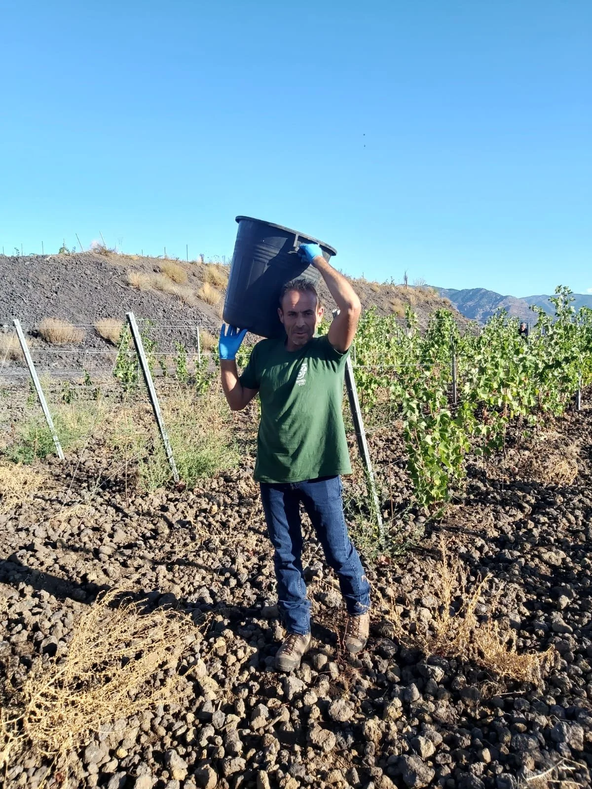 WhatsApp Image 2021-10-08 at 09.35.14.jpeg