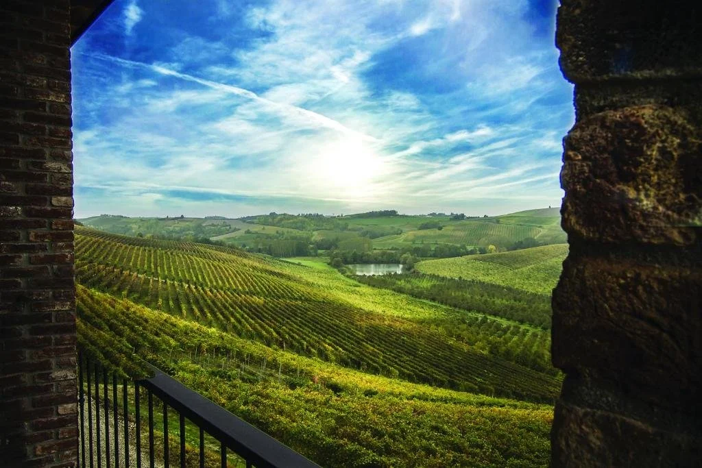 Copy of 310802857.jpg