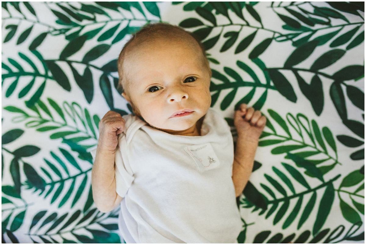 Newborn baby boy laying in crib with plant sheets looking up at photographer. 