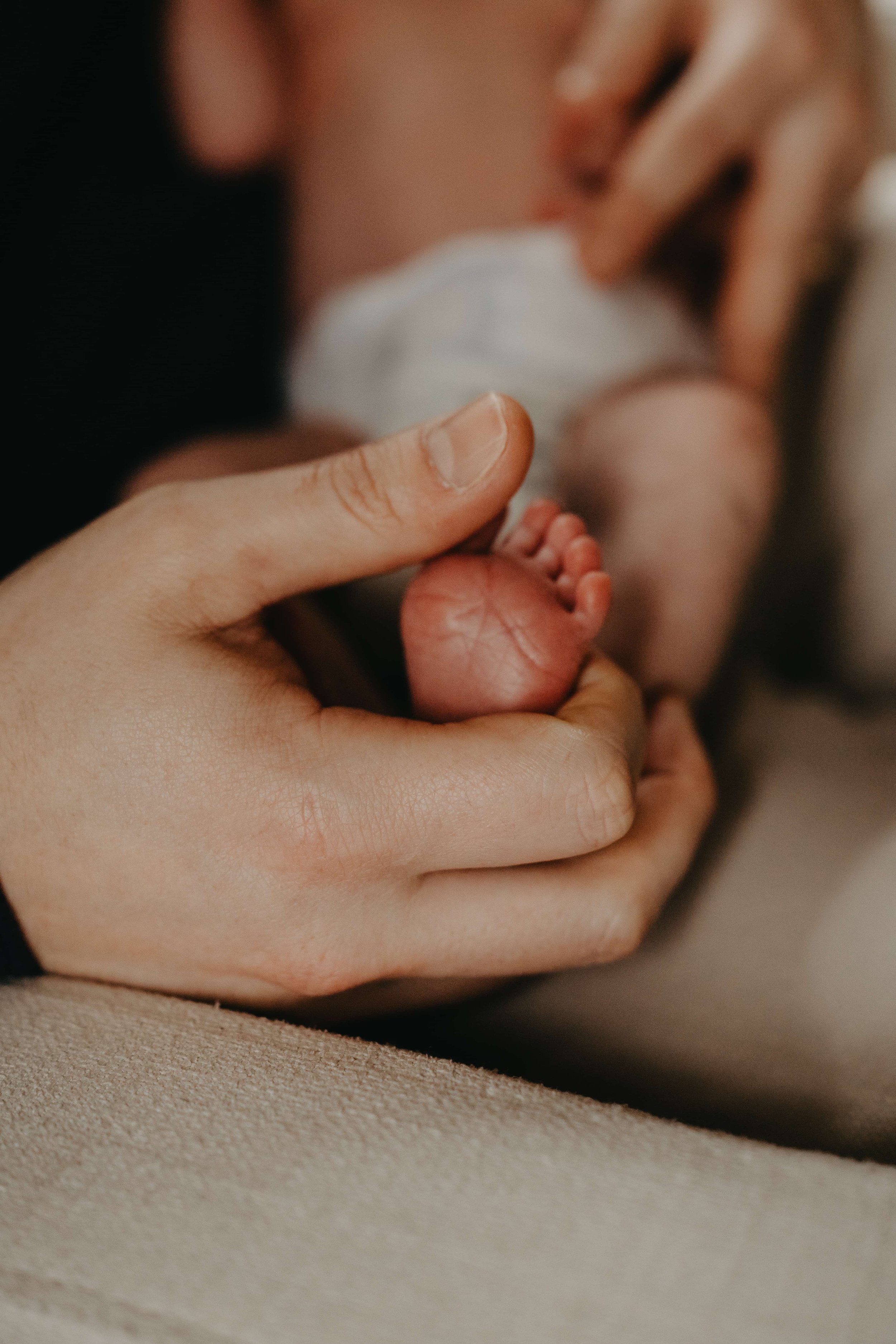 Cleveland family with newborn during in-home photography session