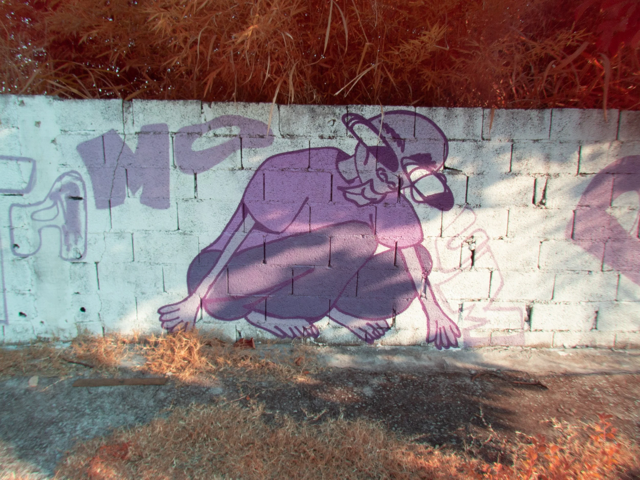 P1010090.jpg