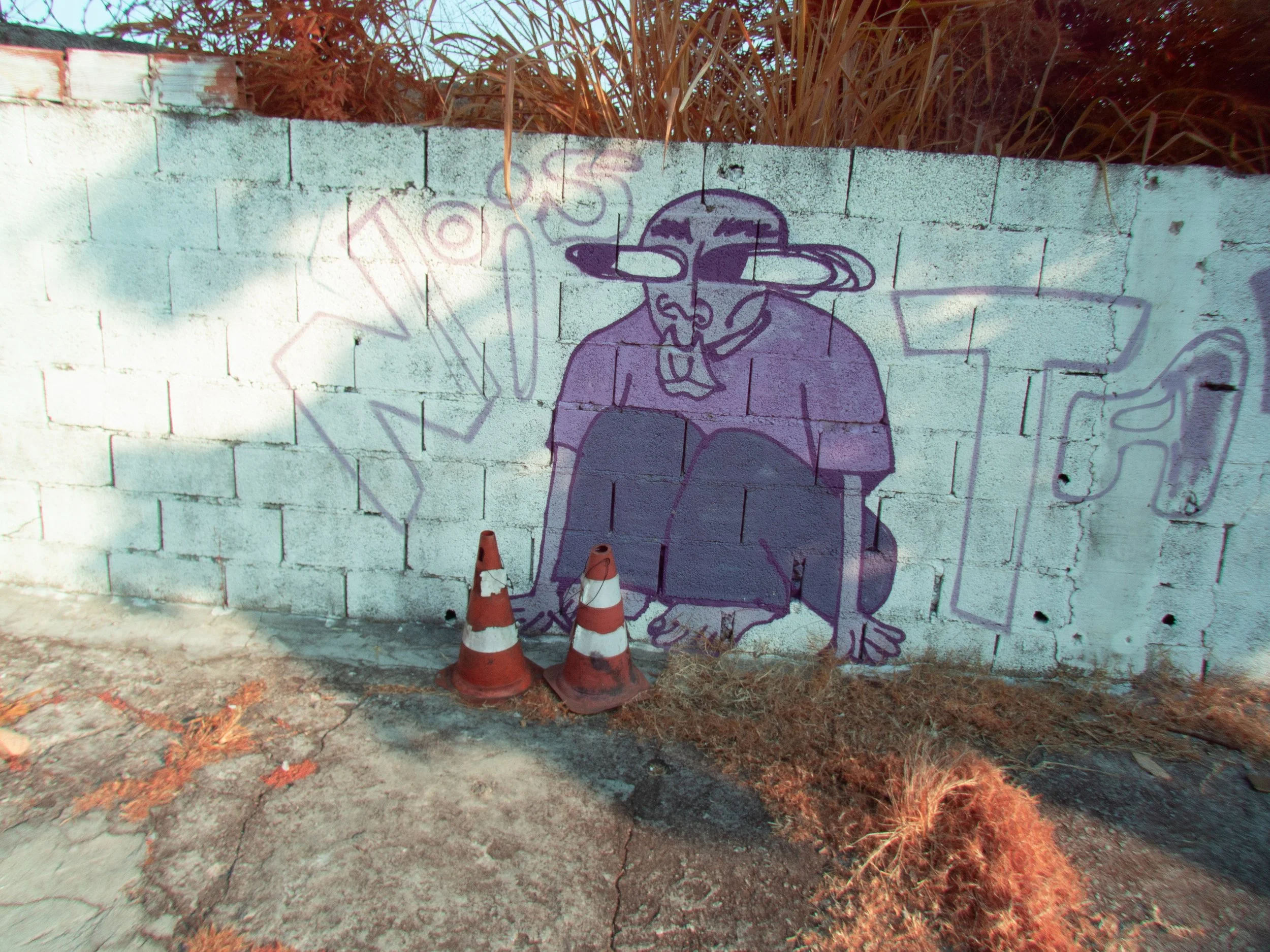 P1010089.jpg