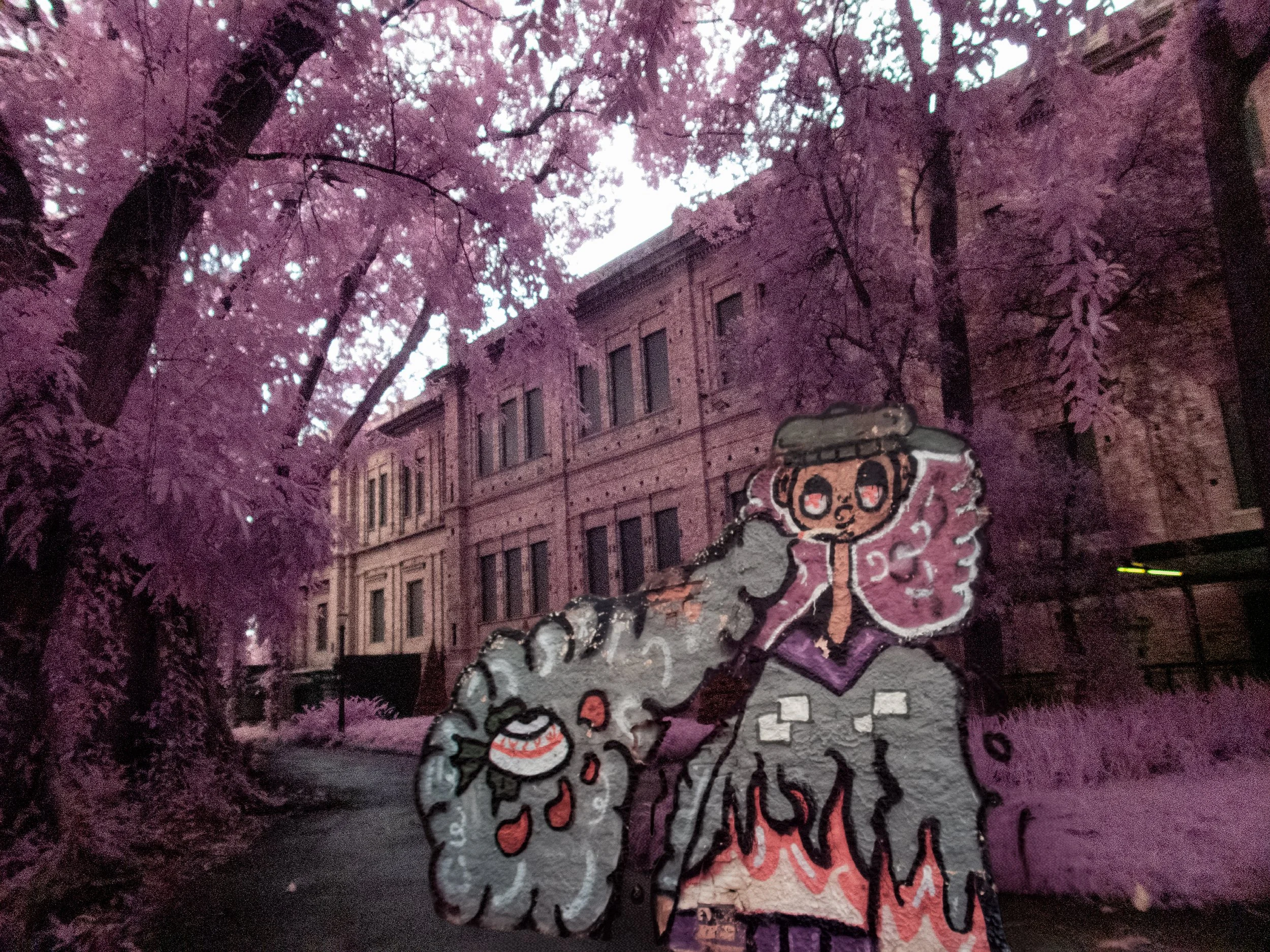 P1015848.jpg