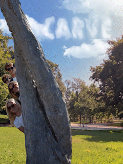 treereveal_3.gif
