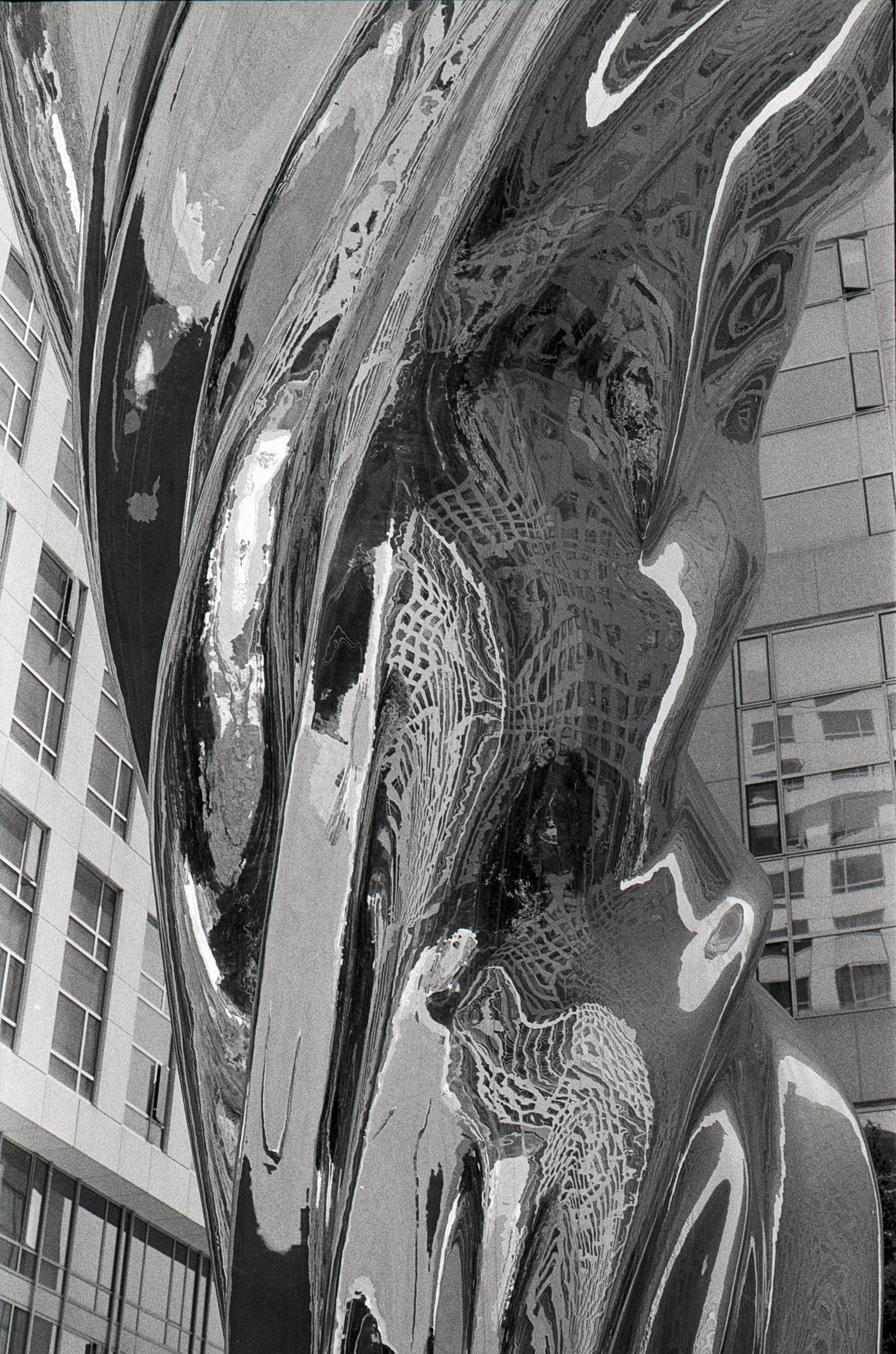 SF800Hp5_29.jpg