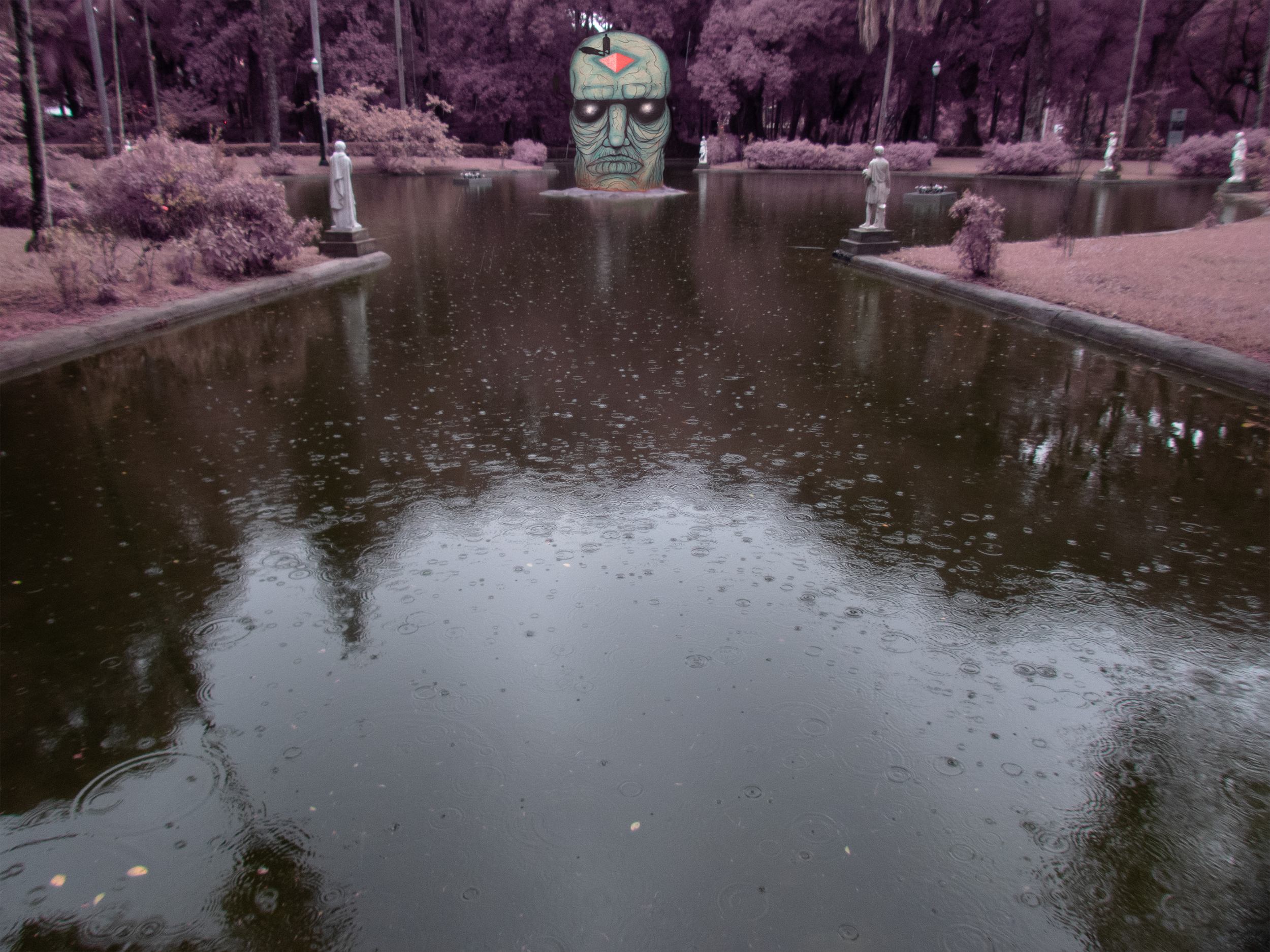 P1010083 (2).png