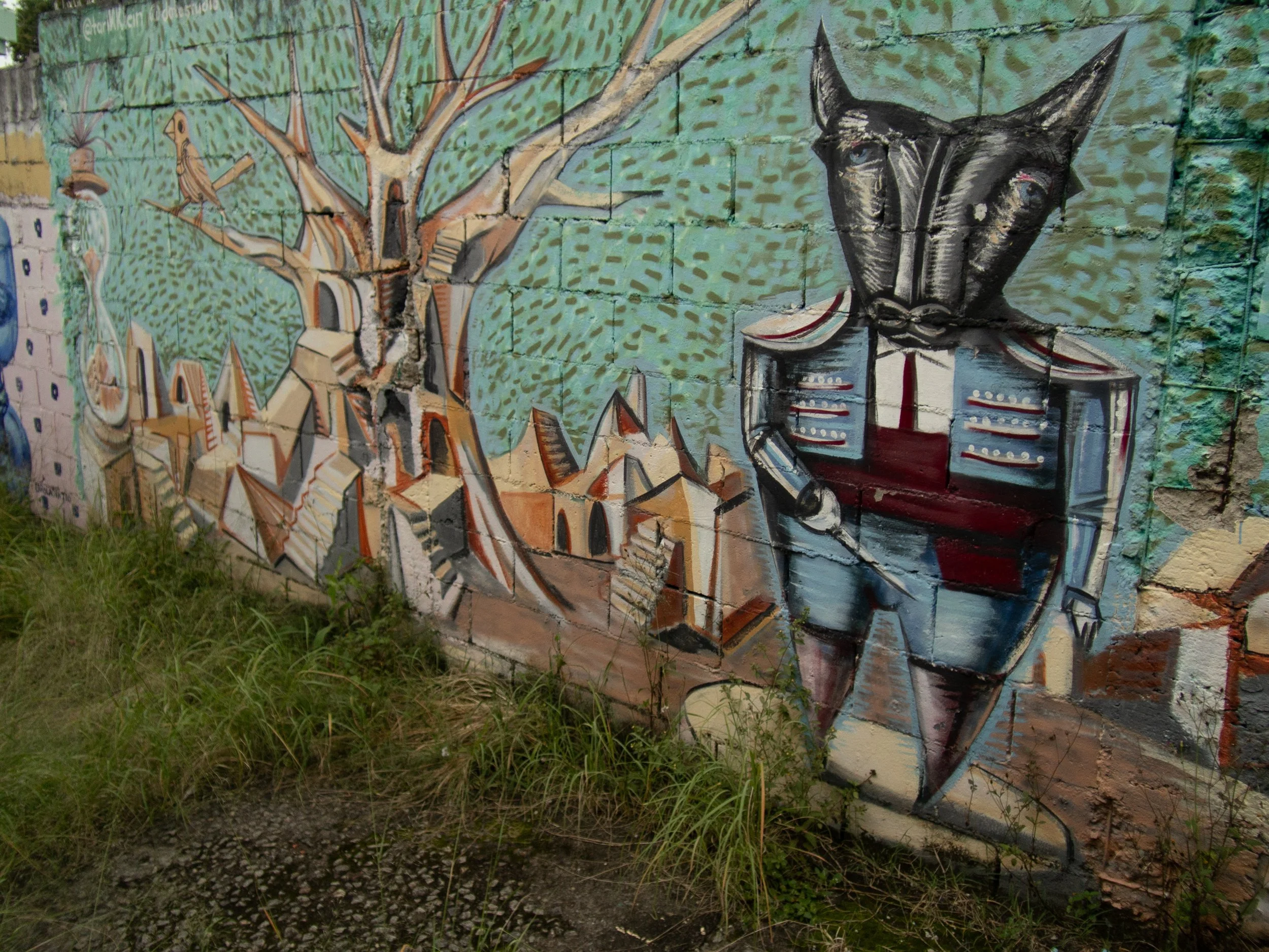 P1010681.jpg