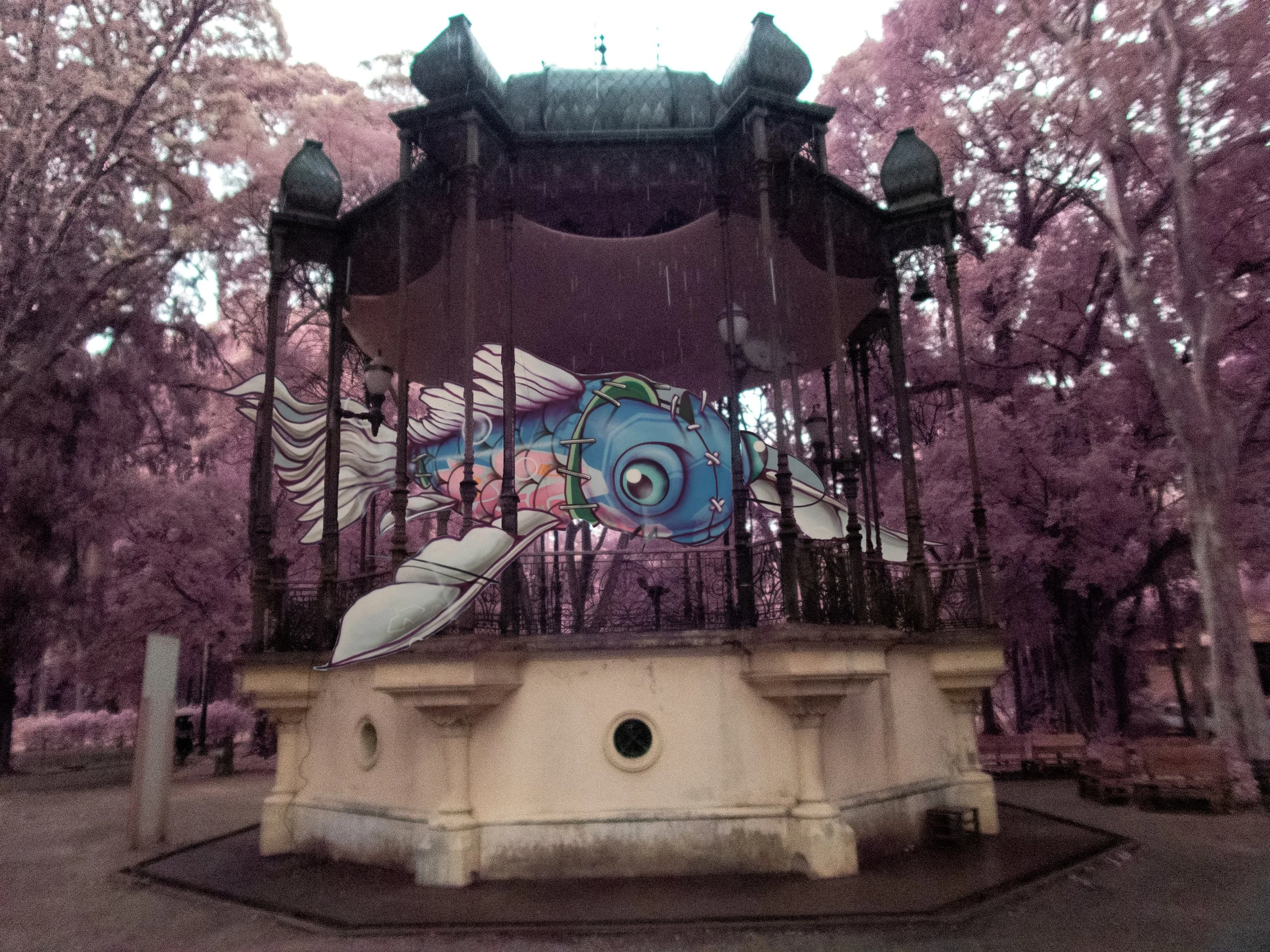 P1015874-Edit.jpg