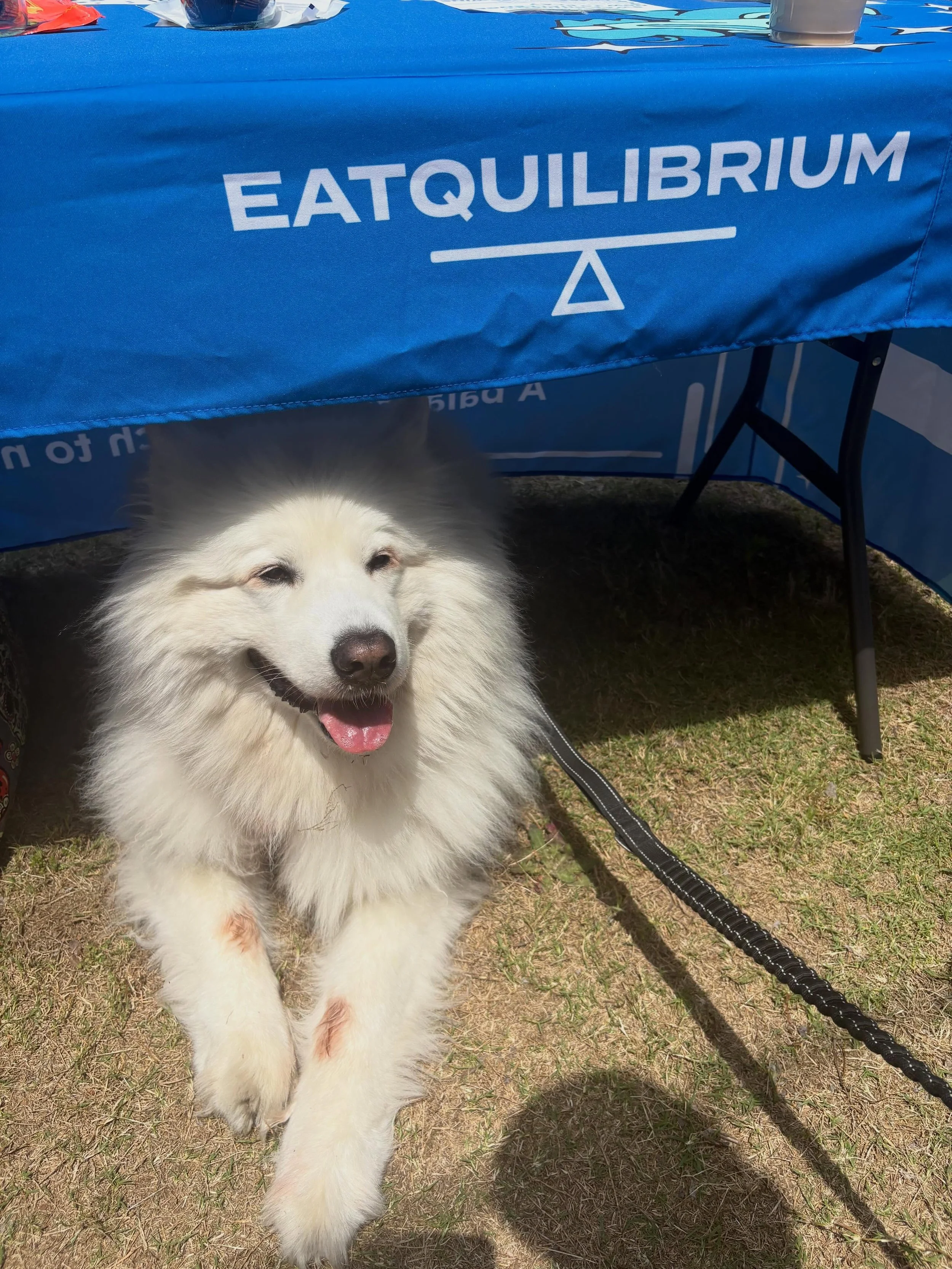 Always a fun time getting out in the community! This weekend I tabled (with the help of Gatsby, of course) at @rallypickleball 🏓

Did you know? The majority of my patients pay $0 out of pocket to work with me!

Currently in-network with Aetna, BCBS/