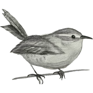 CREATIVITY: MEETING THE MUSE