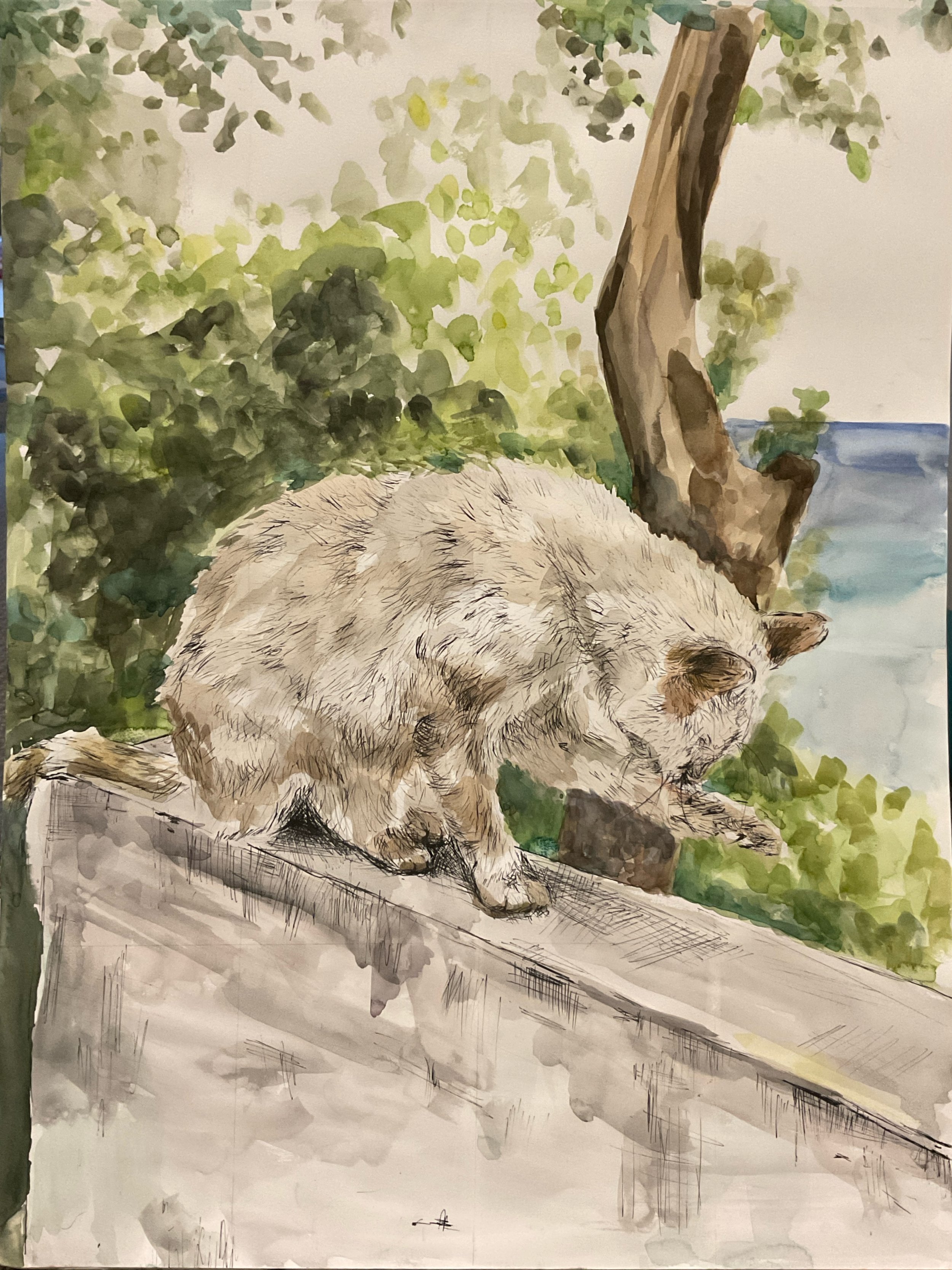 Cloudy Afternoon In Positano