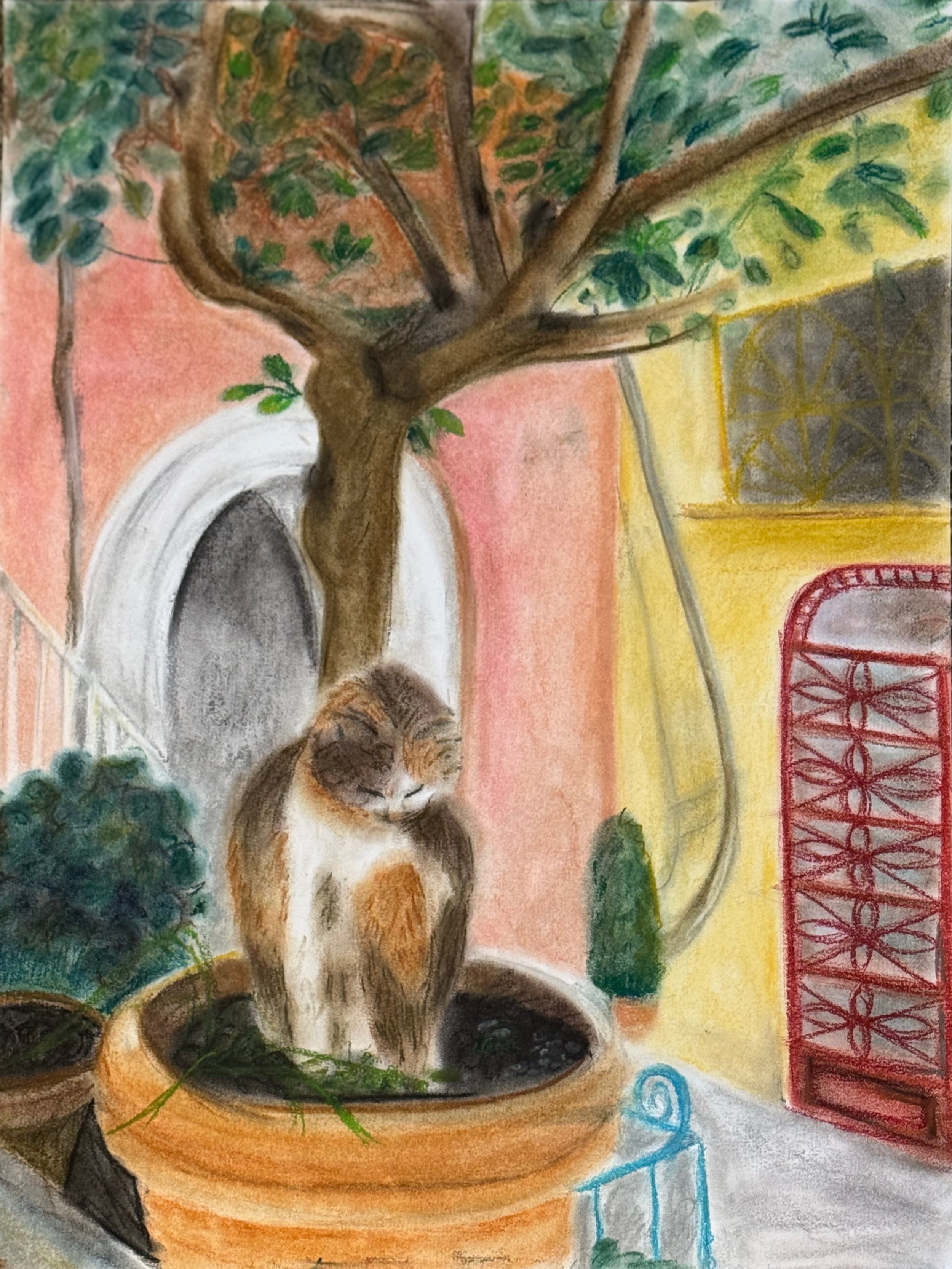 Undisturbed Afternoon Nap