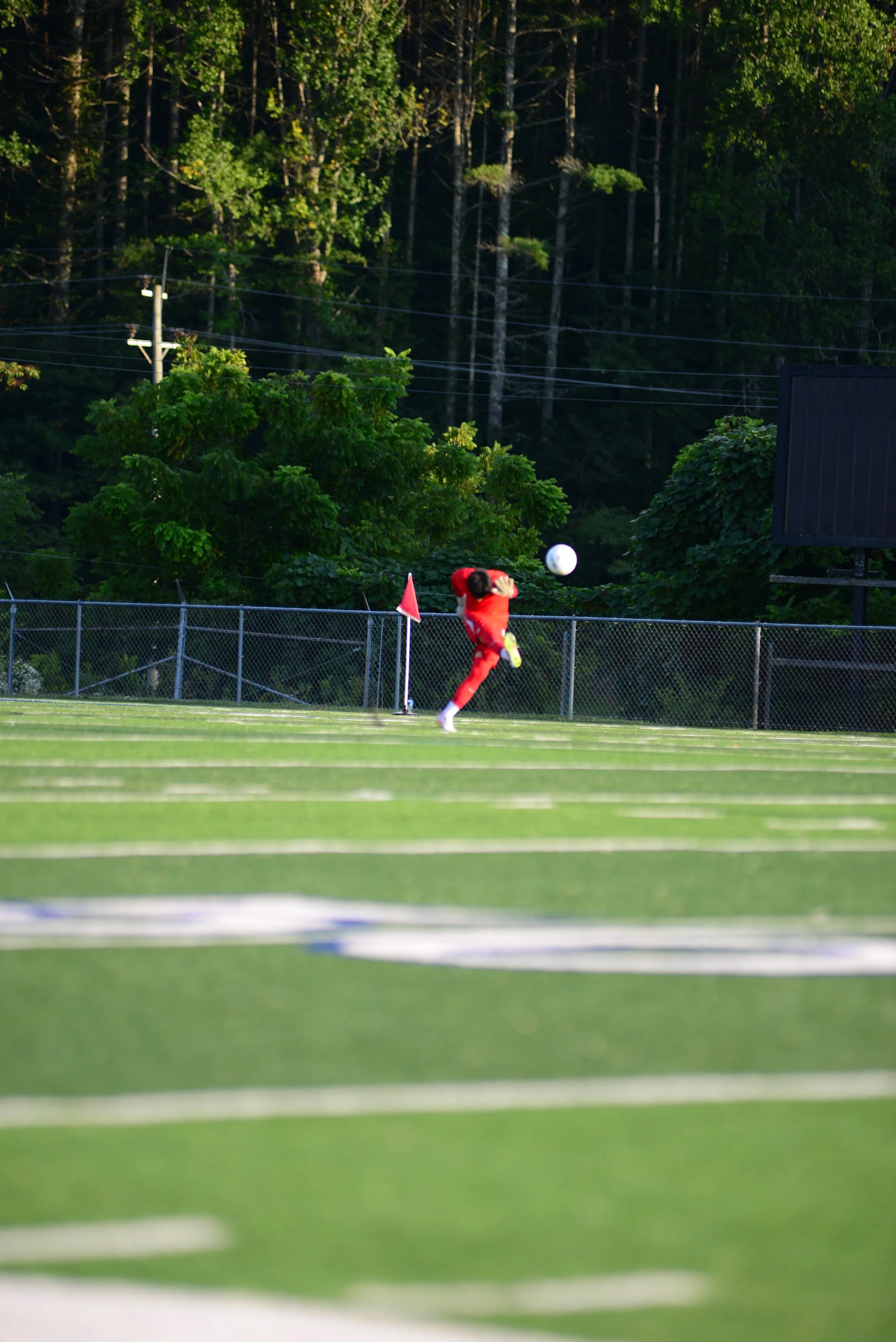 DSC_5993.JPG