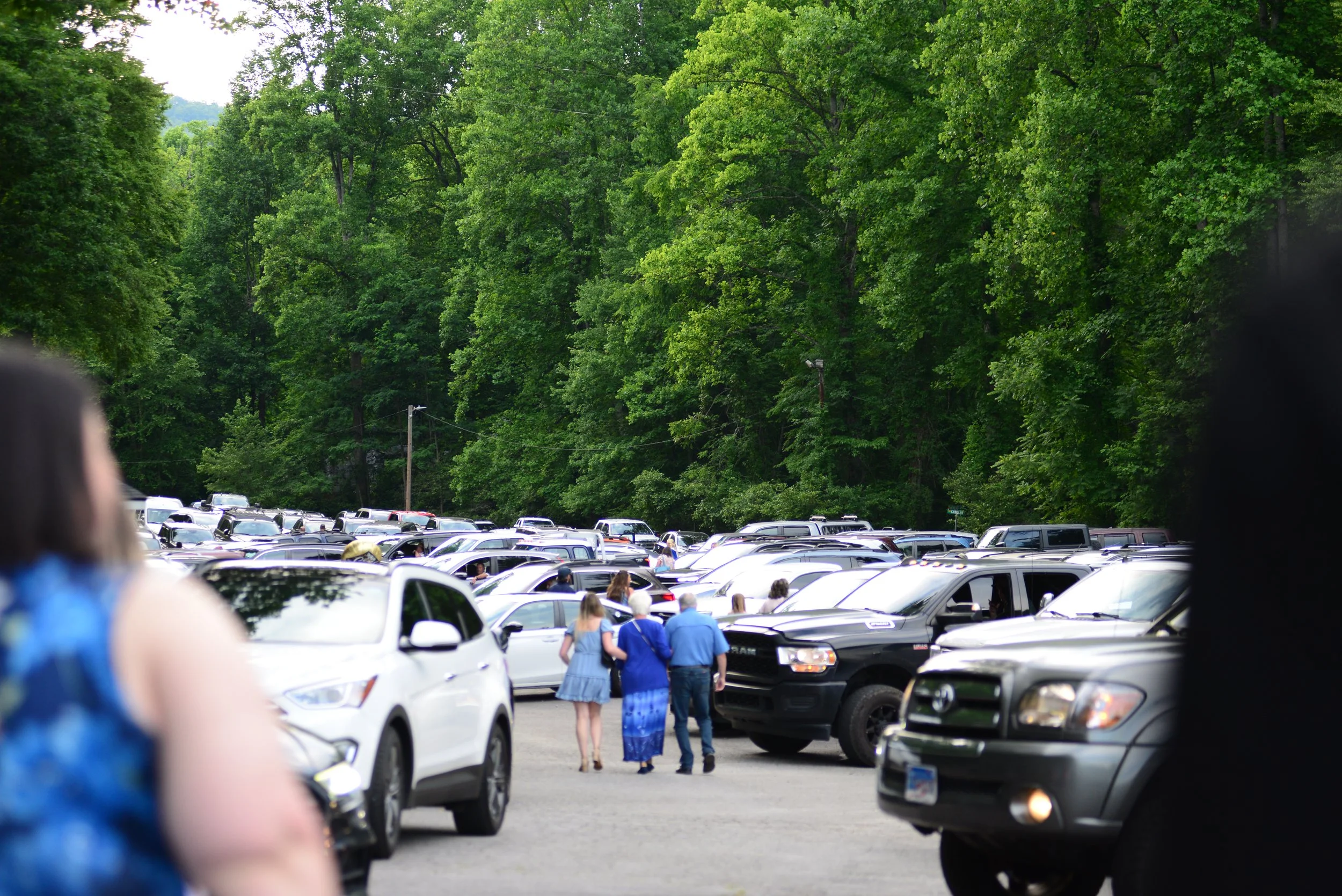 DSC_2981.JPG