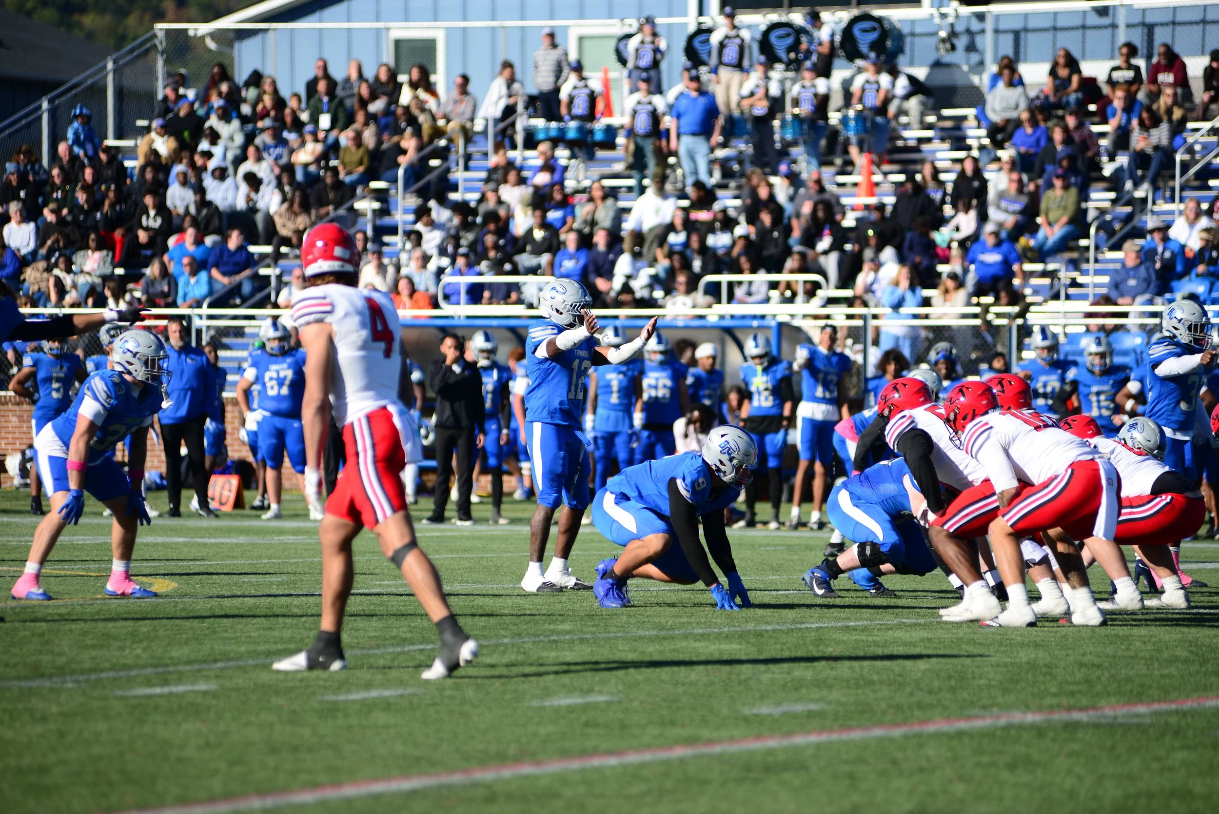 DSC_4690.JPG